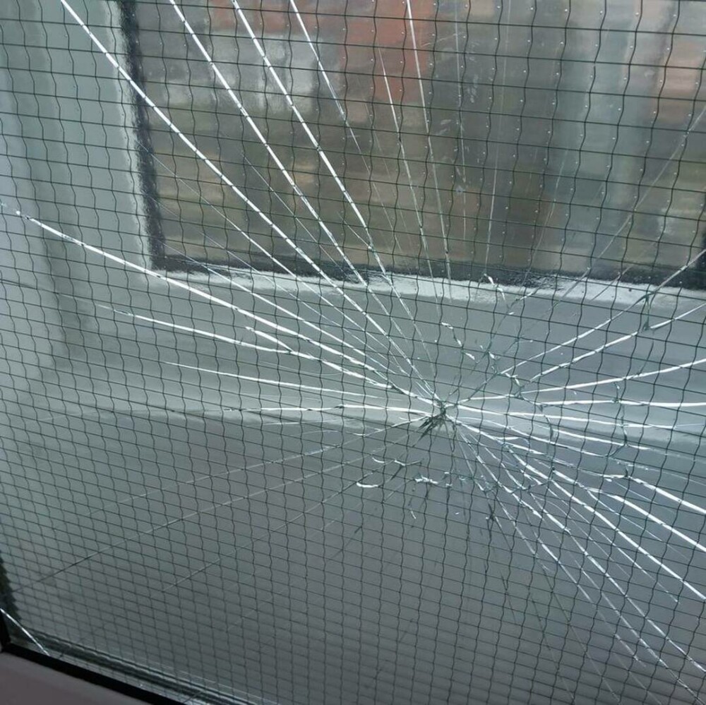 Amenzi de aproape 200.000 de lei după controale ANPC în 82 de campusuri universitare. Produse expirate şi mobilier deteriorat - Imaginea 1