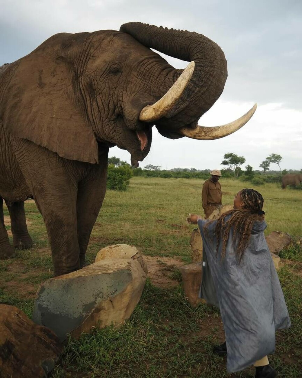Simone Biles și Jonathan Owens, lună de miere în Africa de Sud. Imagini inedite cu animale sălbatice. FOTO - Imaginea 3