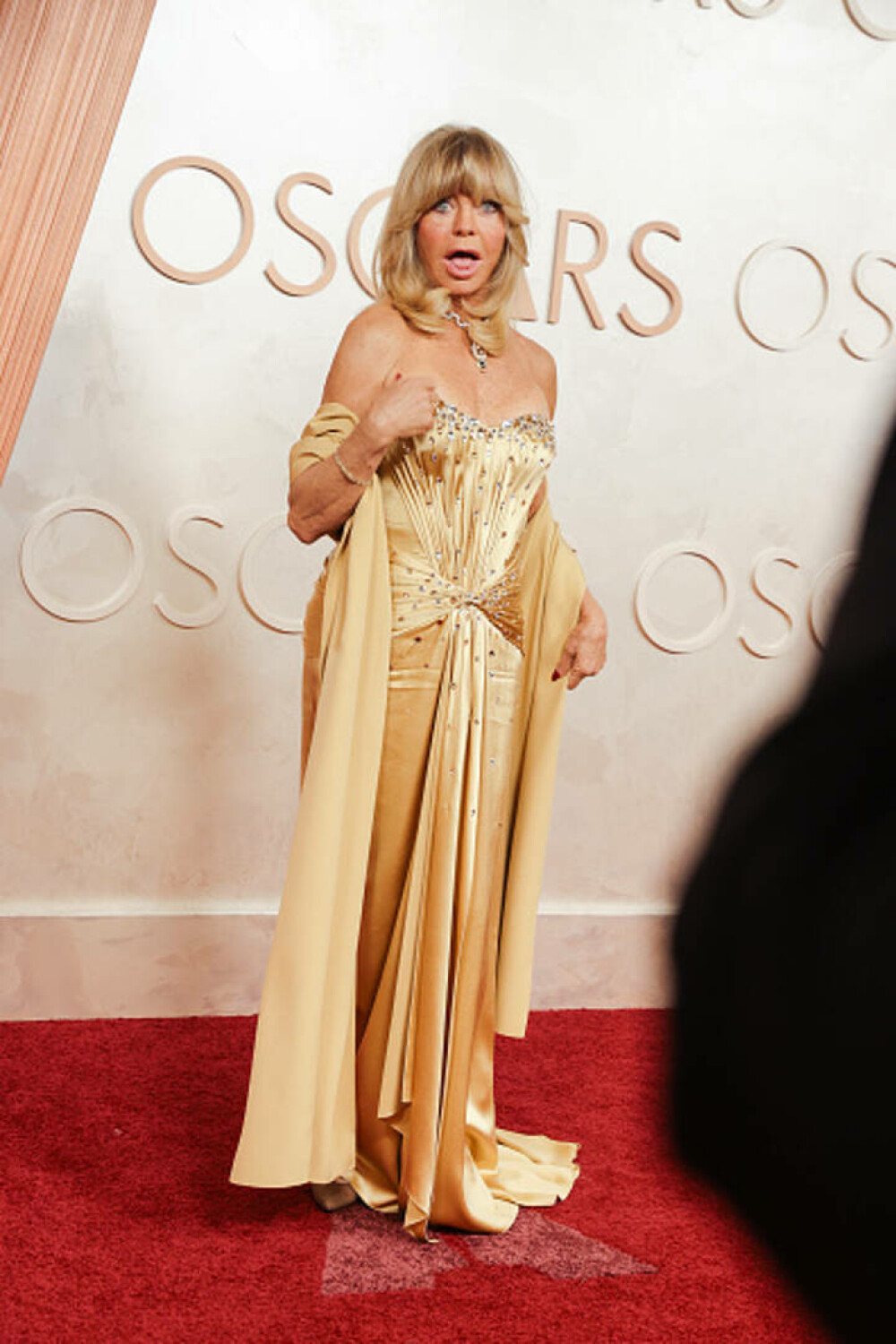 Goldie Hawn a făcut o mărturisire neașteptată la Premiile Oscar 2025. Afecțiunea de care suferă actrița. VIDEO - Imaginea 2