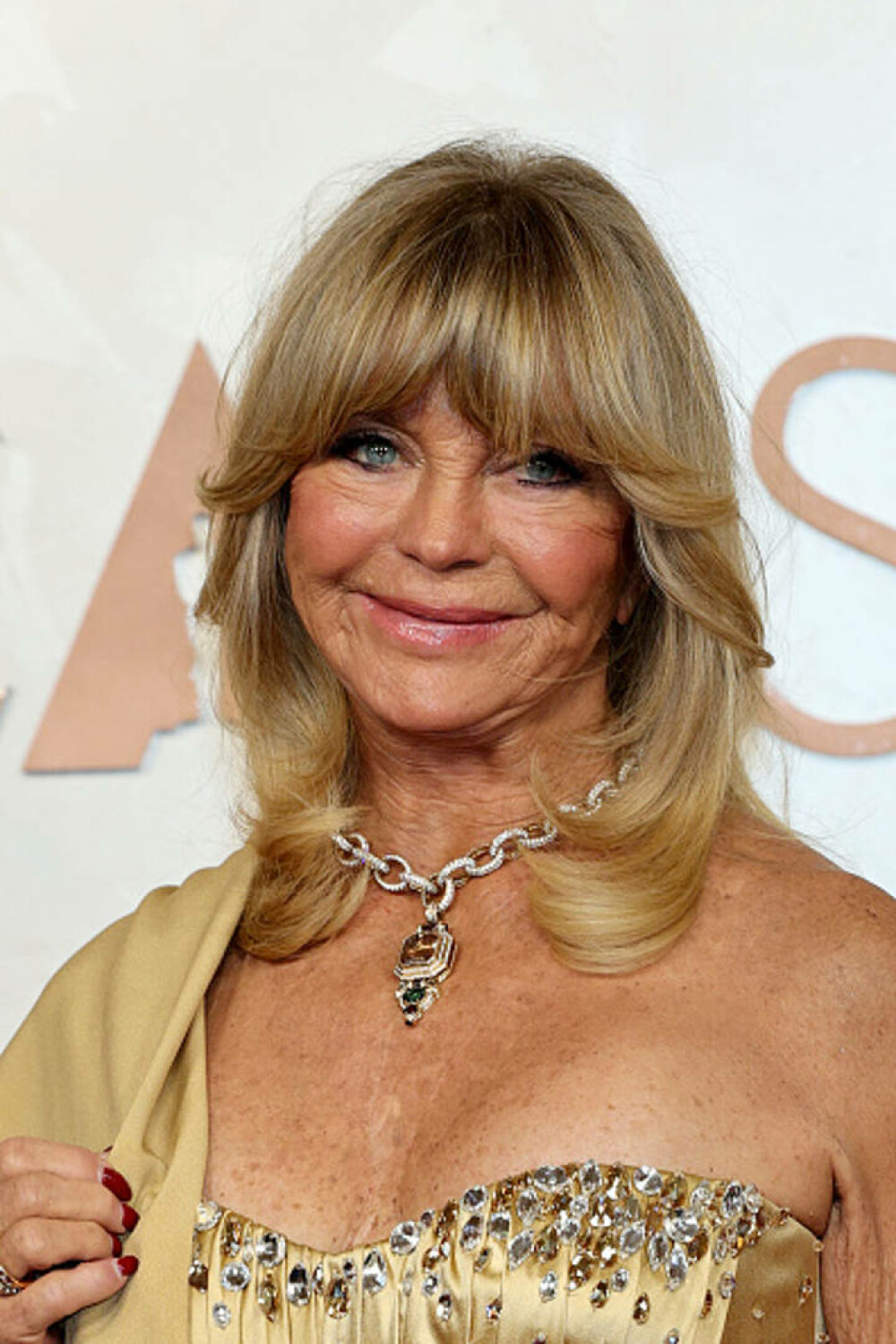 Goldie Hawn a făcut o mărturisire neașteptată la Premiile Oscar 2025. Afecțiunea de care suferă actrița. VIDEO - Imaginea 19