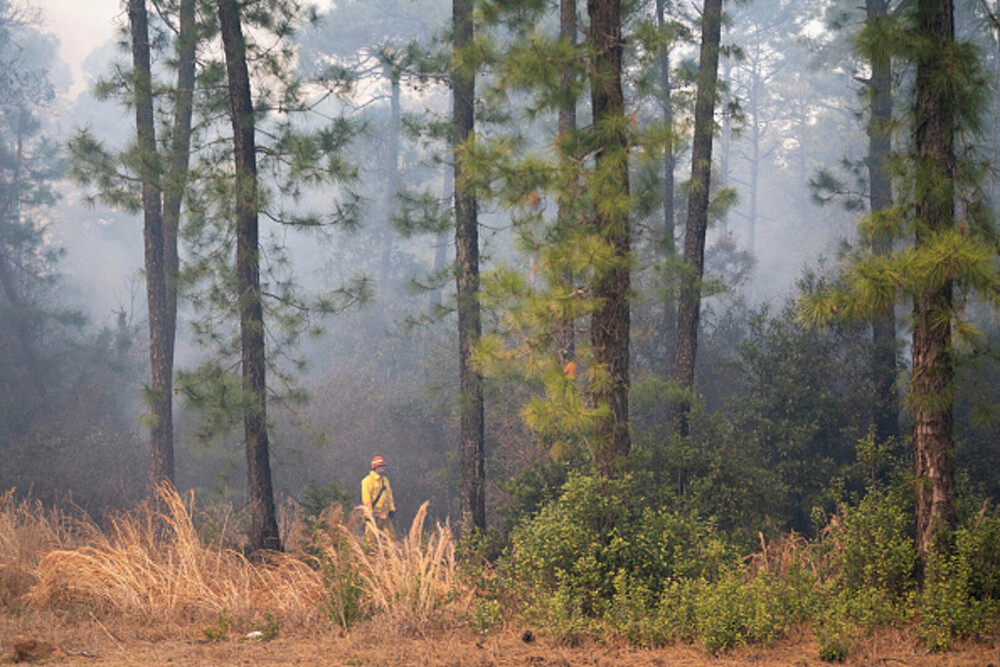 Incendiile violente fac prăpăd în SUA. A fost declarată stare de urgenţă în Carolina de Sud. GALERIE FOTO & VIDEO - Imaginea 5