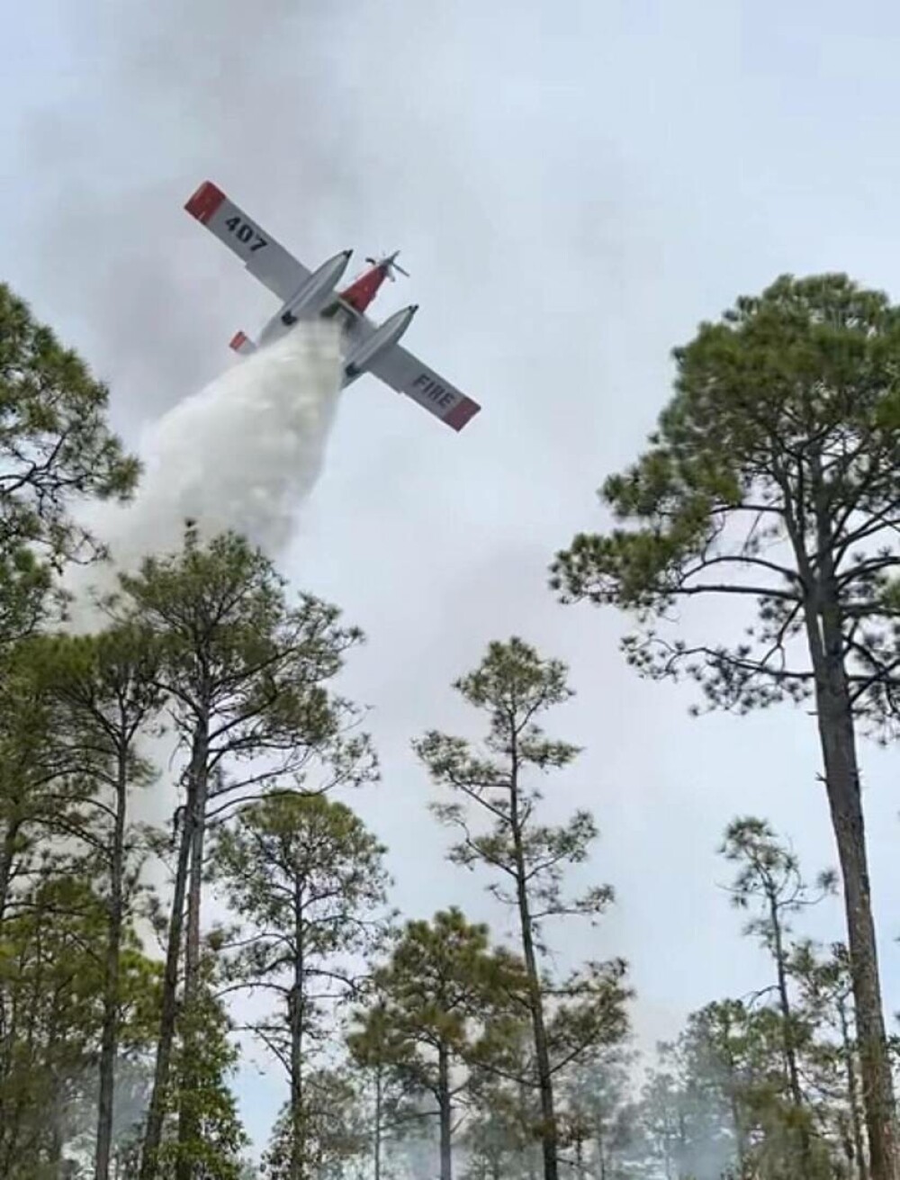 Incendiile violente fac prăpăd în SUA. A fost declarată stare de urgenţă în Carolina de Sud. GALERIE FOTO & VIDEO - Imaginea 21