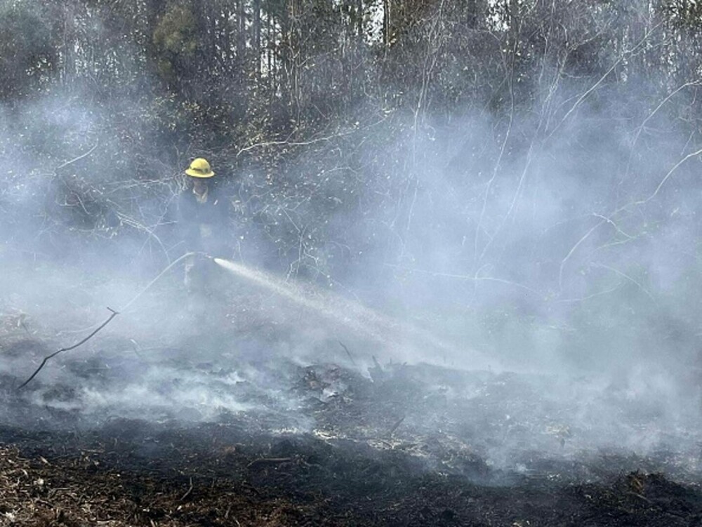 Incendiile violente fac prăpăd în SUA. A fost declarată stare de urgenţă în Carolina de Sud. GALERIE FOTO & VIDEO - Imaginea 22