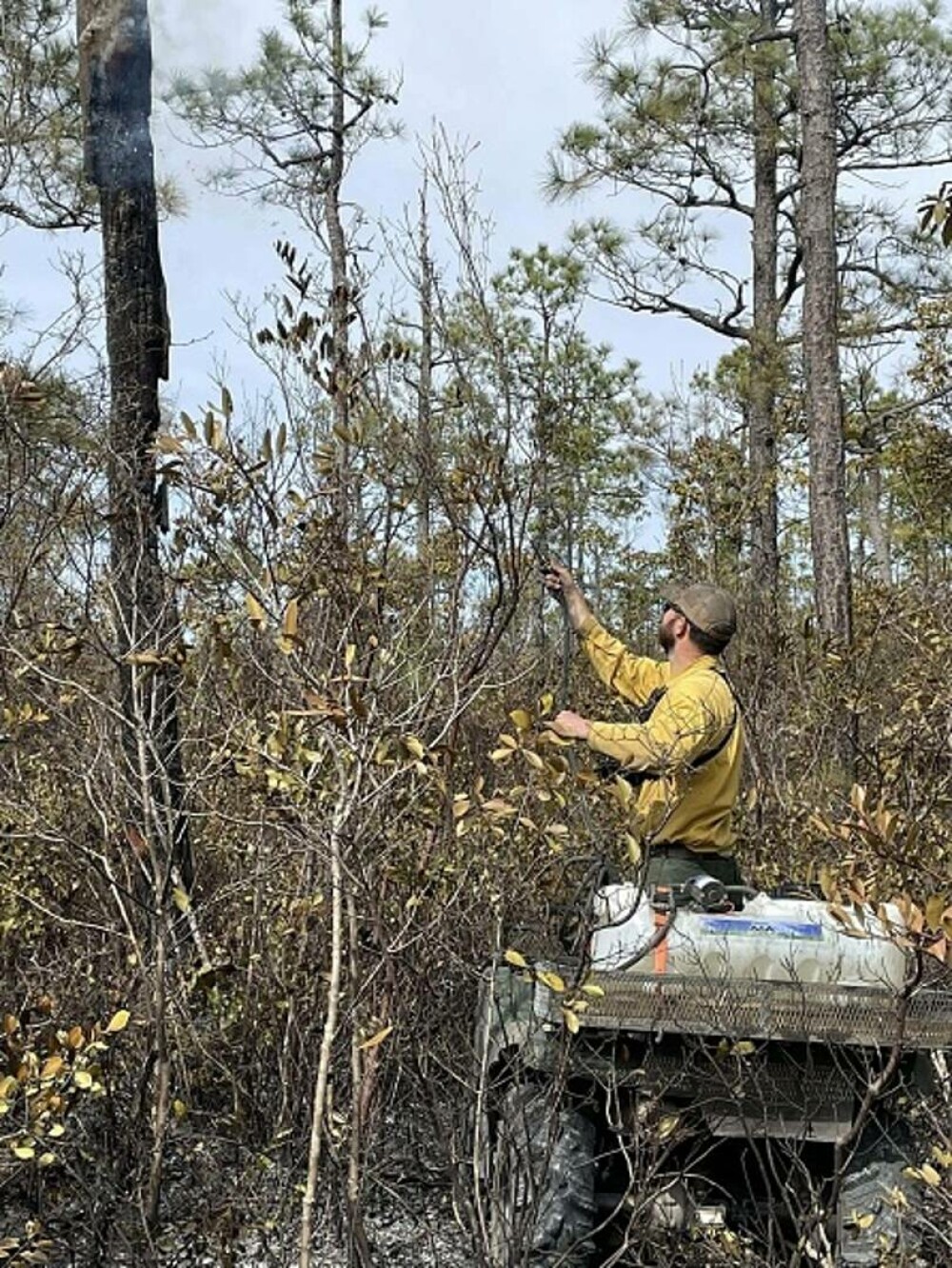 Incendiile violente fac prăpăd în SUA. A fost declarată stare de urgenţă în Carolina de Sud. GALERIE FOTO & VIDEO - Imaginea 23