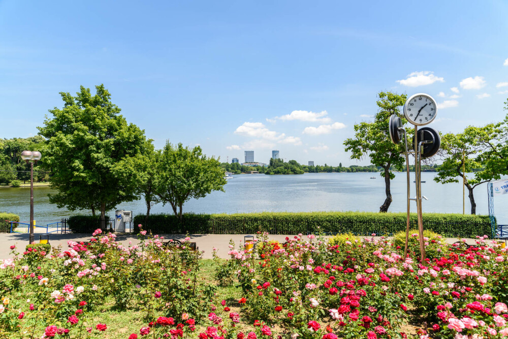 Parcuri din București. Care sunt cele mai frumoase spații verzi din Capitală, perfecte pentru o plimbare în natură - Imaginea 5