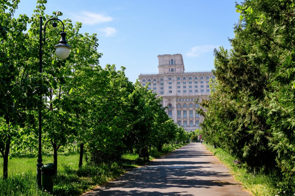 Parcuri din București. Care sunt cele mai frumoase spații verzi din Capitală, perfecte pentru o plimbare în natură - Imaginea 4