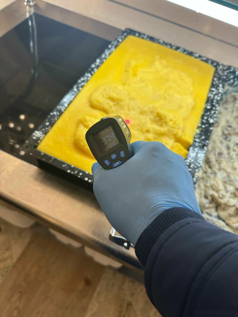 ANPC a dispus închiderea cantinei de la Parlament. Aleșii României mâncau printre gândaci | FOTO - Imaginea 4