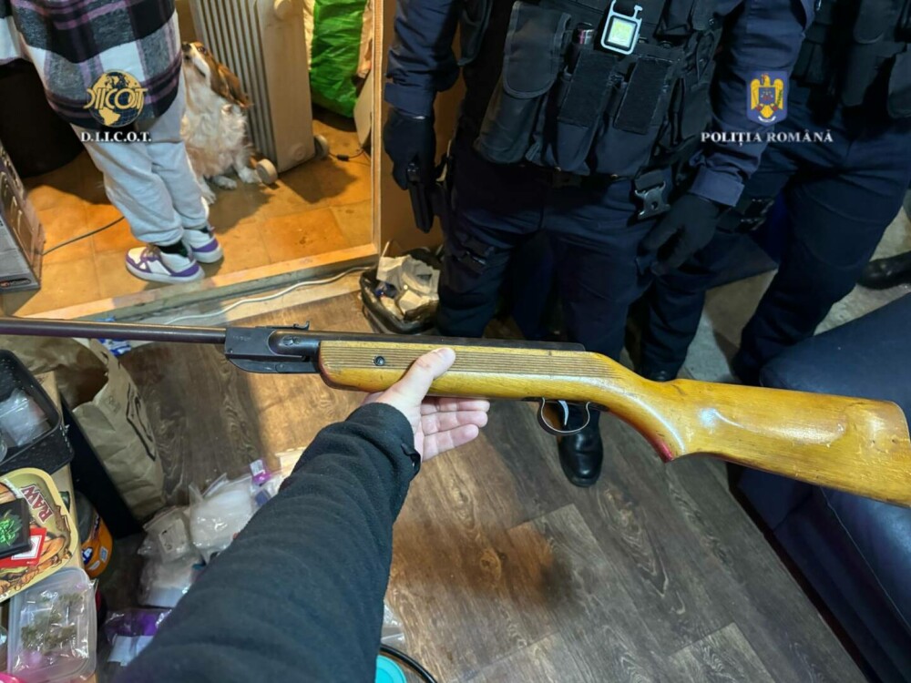 Patru grupări periculoase care vindeau droguri au împânzit trei orașe din Vestul țării. Cum colaborau pentru câștiguri - Imaginea 1