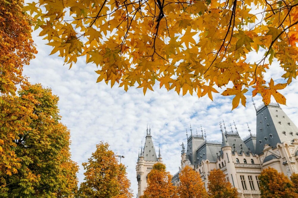 Românii au votat Destinația Anului 2025. Marii câștigători vor fi dezvăluiți pe 8 Aprilie la Sibiu, în Gala Destinația Anului - Imaginea 8