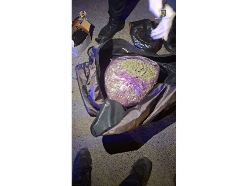 O persoană a fost reținută după ce a fost prinsă cu mai mulți saci de plastic în mașină. Ce au descoperit polițiștii. FOTO - Imaginea 4