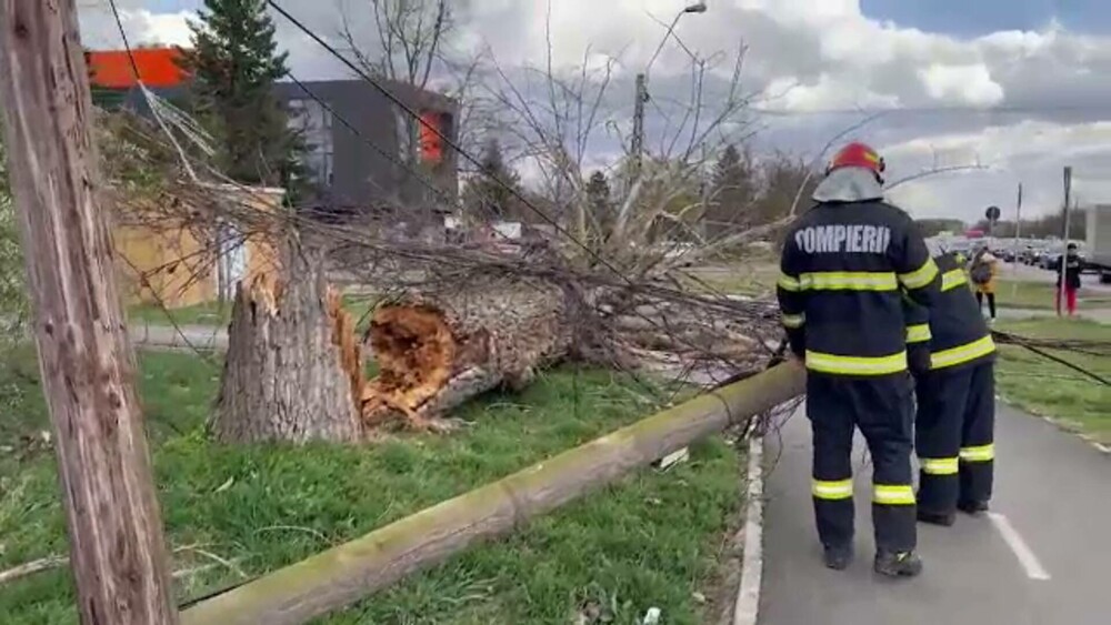 Vijeliile au făcut prăpăd în multe zone din România. Au avariat peste 100 de clădiri, rețele electrice și zeci de mașini - Imaginea 2