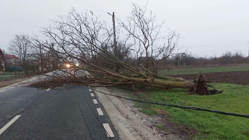 Vijeliile au făcut prăpăd în multe zone din România. Au avariat peste 100 de clădiri, rețele electrice și zeci de mașini - Imaginea 3