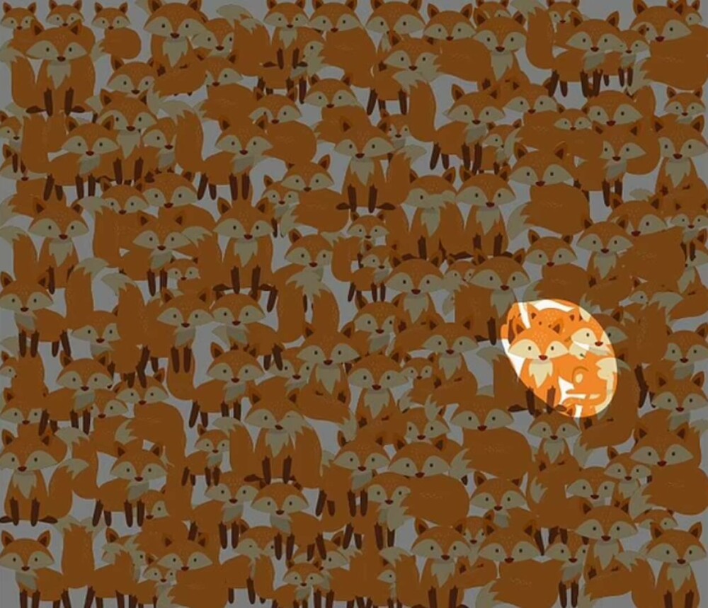 Poți să găsești pisica din imagine? Acest puzzle îți pune vederea și răbdarea la încercare - Imaginea 2