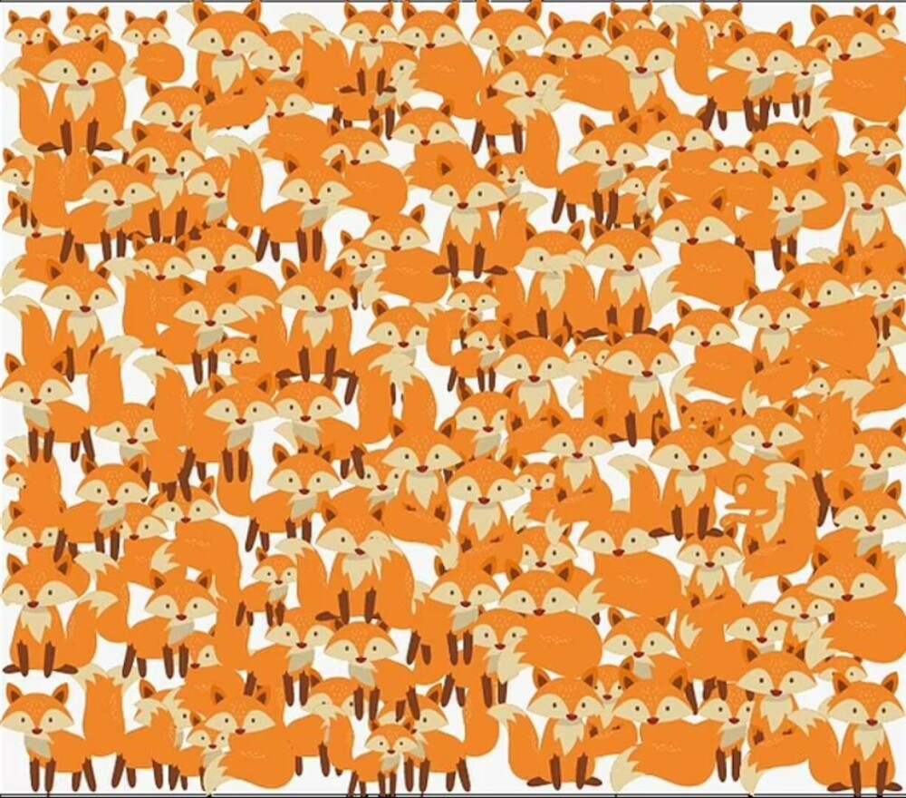 Poți să găsești pisica din imagine? Acest puzzle îți pune vederea și răbdarea la încercare - Imaginea 1