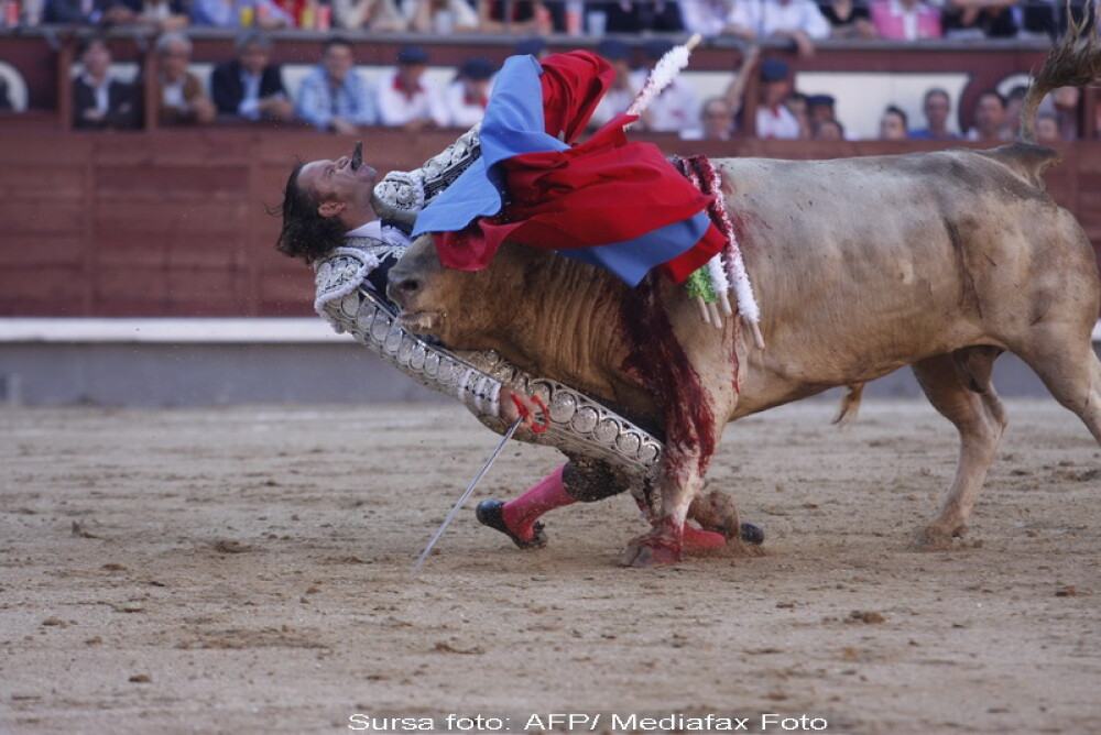 IMAGINI SOC! Un taur i-a strapuns gura unui matador! - Imaginea 3
