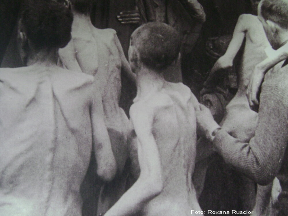 Lagarul nazist de la Dachau - inchisoarea unde si mortii erau scosi la apelul de dimineata. VIDEO - Imaginea 12
