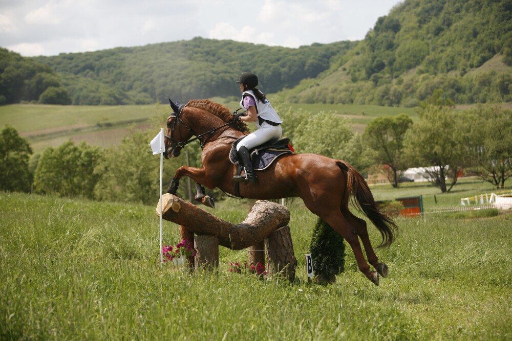 TRANSYLVANIA HORSE SHOW 2012. Primul concurs hipic international din Romania - Imaginea 1