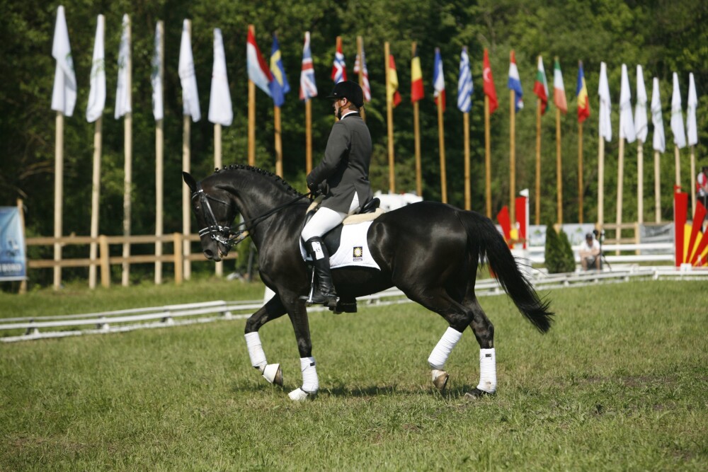 TRANSYLVANIA HORSE SHOW 2012. Primul concurs hipic international din Romania - Imaginea 2