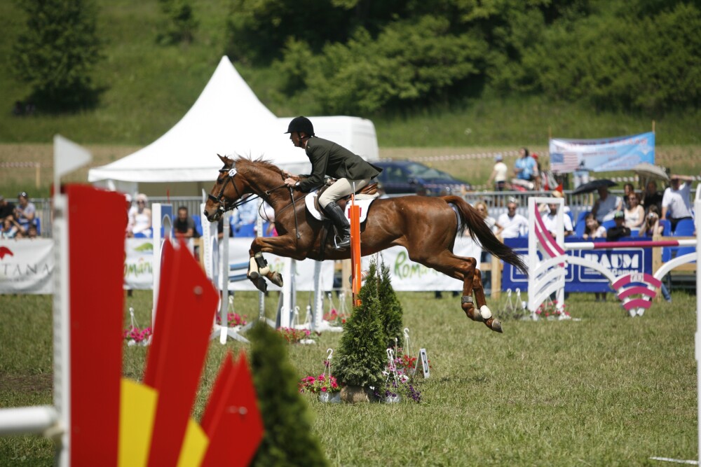 TRANSYLVANIA HORSE SHOW 2012. Primul concurs hipic international din Romania - Imaginea 4