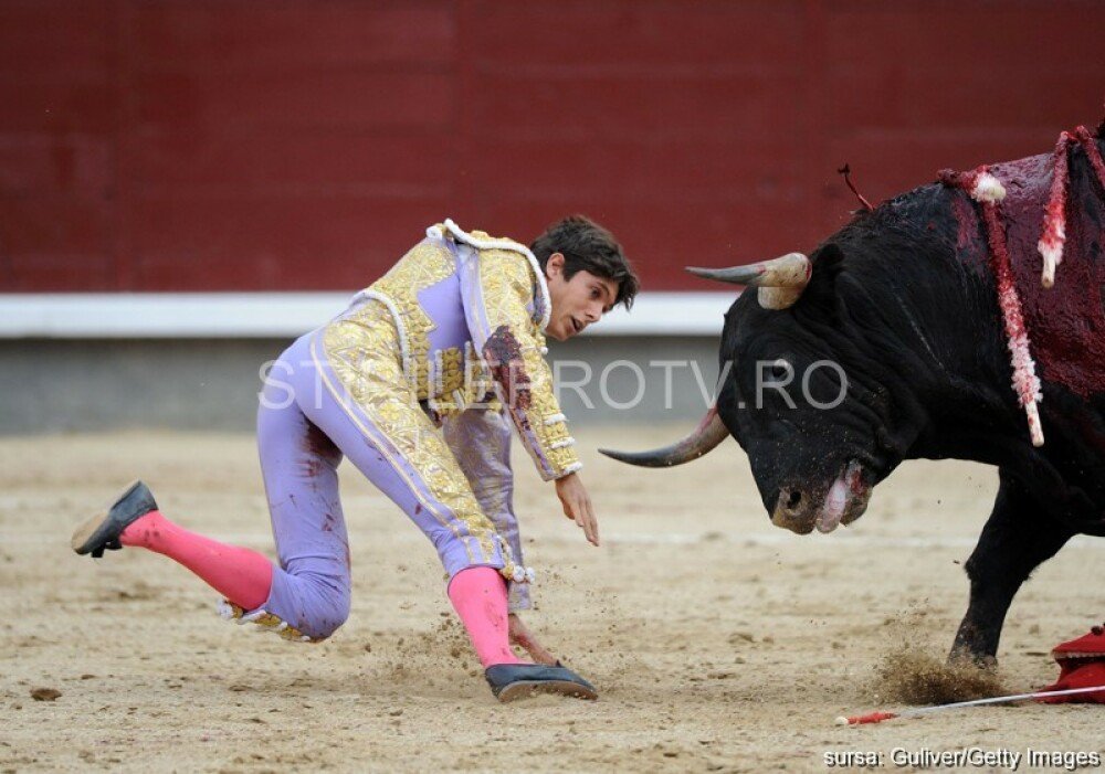 Imagini dramatice la o corida din Madrid. Un matador a scapat ca prin minune din coarnele taurului - Imaginea 1