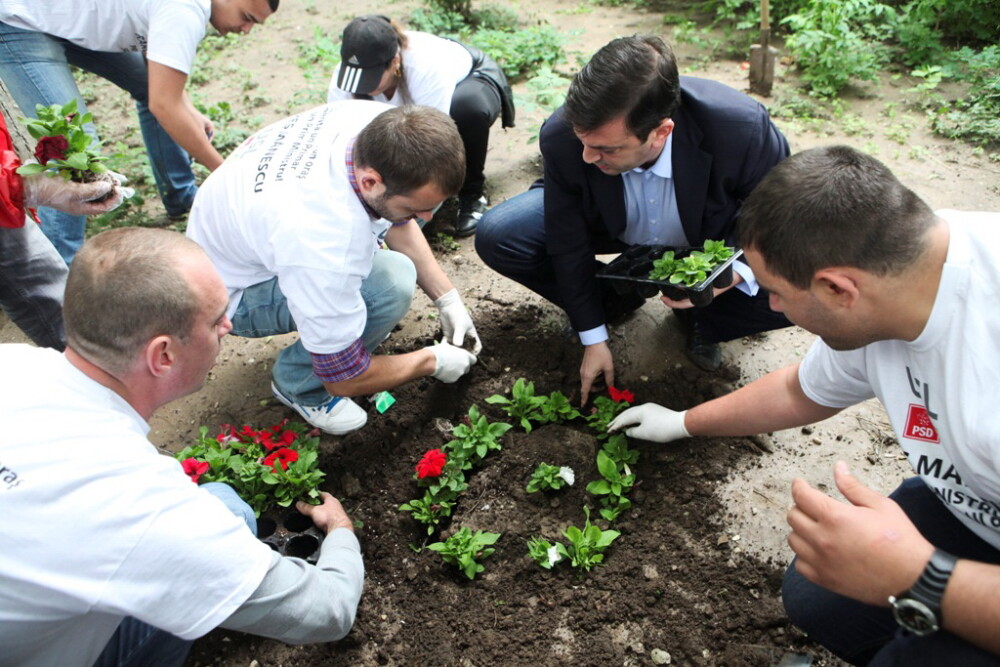 Canditatul USL la Primaria Sectorului 6, Rares Manescu, a plantat flori in gradinile blocurilor - Imaginea 3