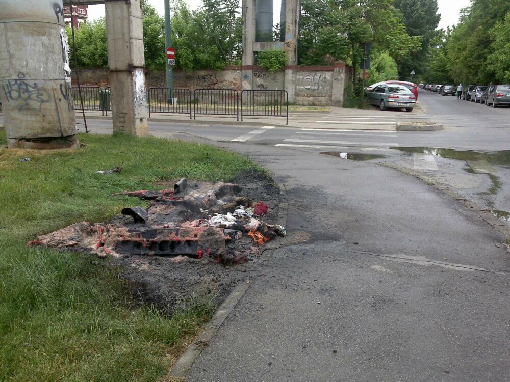 Incendiu intr-un parc din Timisoara. Doua toalete ecologice au ars in intregime - Imaginea 2