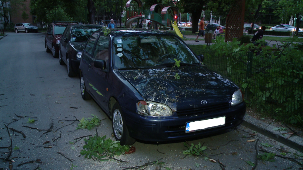 O masina parcata in zona centrala a Timisoarei a fost avariata de un stejar care a cedat. FOTO - Imaginea 1