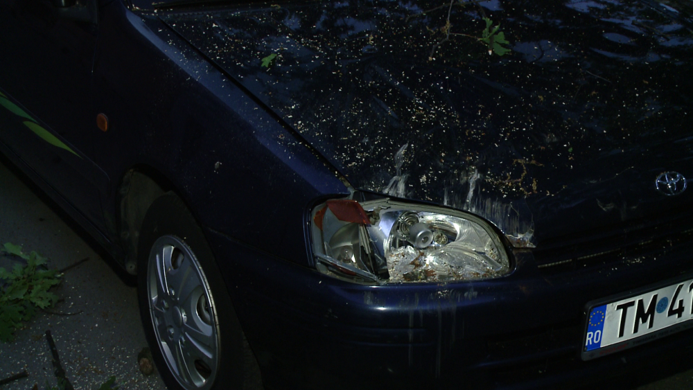 O masina parcata in zona centrala a Timisoarei a fost avariata de un stejar care a cedat. FOTO - Imaginea 4