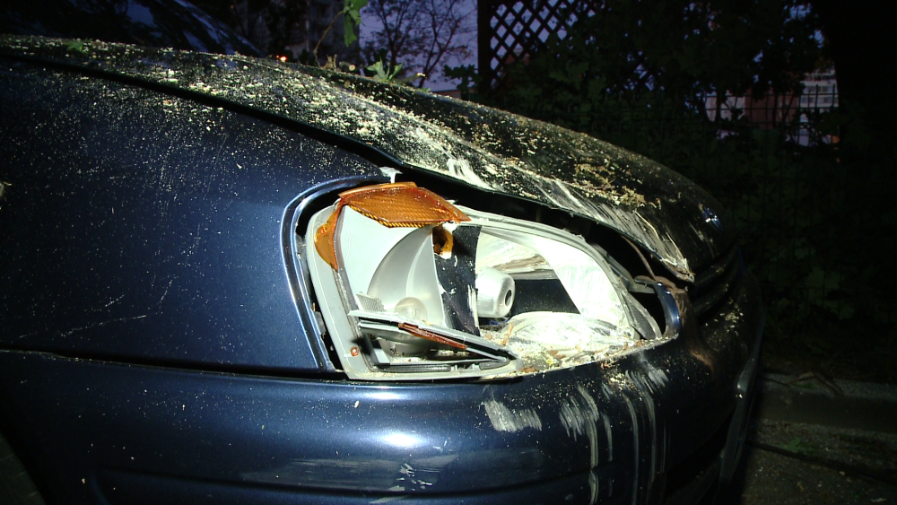 O masina parcata in zona centrala a Timisoarei a fost avariata de un stejar care a cedat. FOTO - Imaginea 6