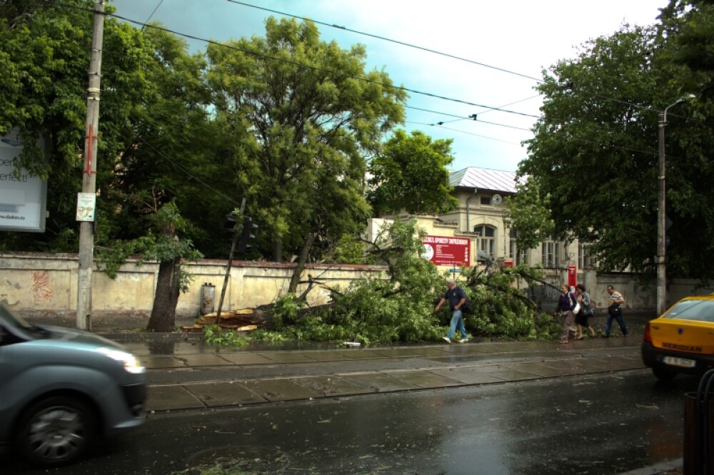 Bilantul celei mai puternice furtuni din ultimii 5 ani, in Bucuresti: o femeie a murit. VIDEO - Imaginea 11