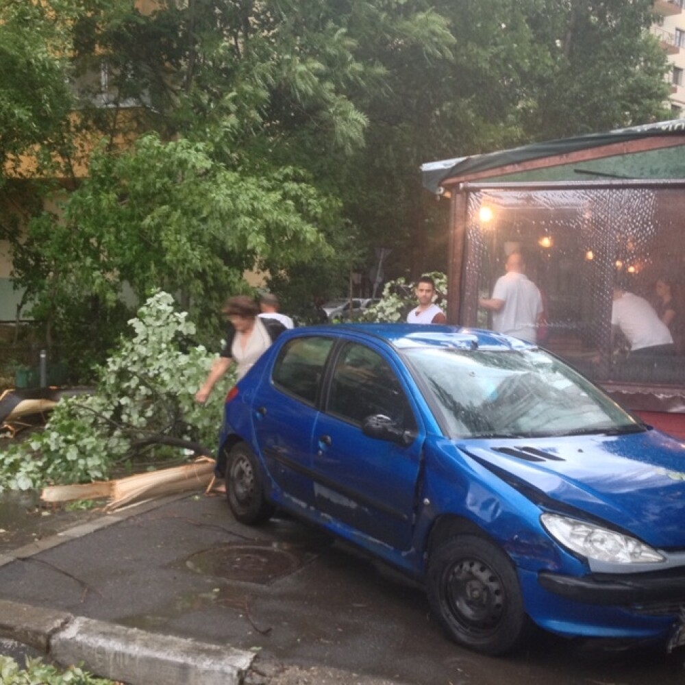 Bilantul celei mai puternice furtuni din ultimii 5 ani, in Bucuresti: o femeie a murit. VIDEO - Imaginea 13