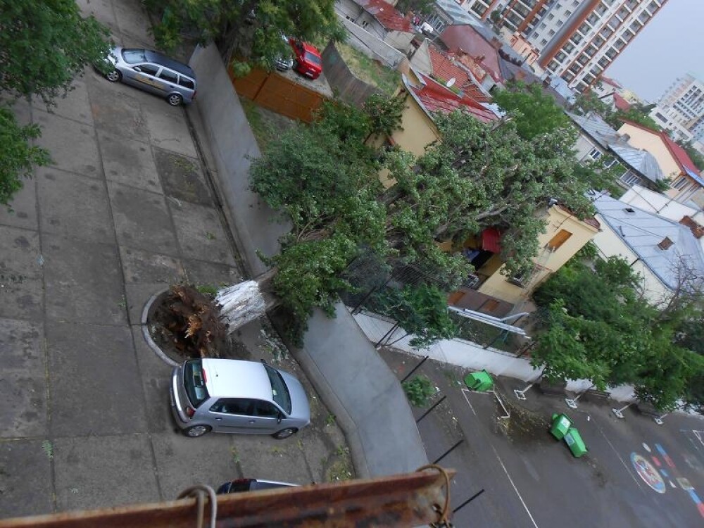 Bilantul celei mai puternice furtuni din ultimii 5 ani, in Bucuresti: o femeie a murit. VIDEO - Imaginea 14