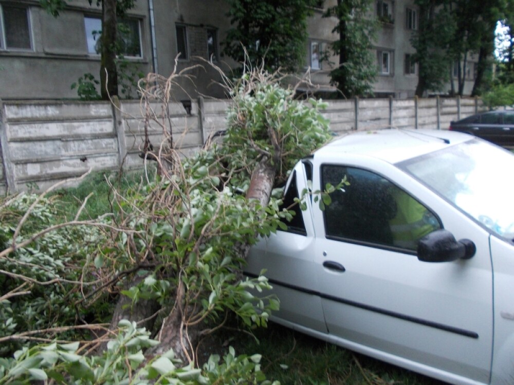Bilantul celei mai puternice furtuni din ultimii 5 ani, in Bucuresti: o femeie a murit. VIDEO - Imaginea 20