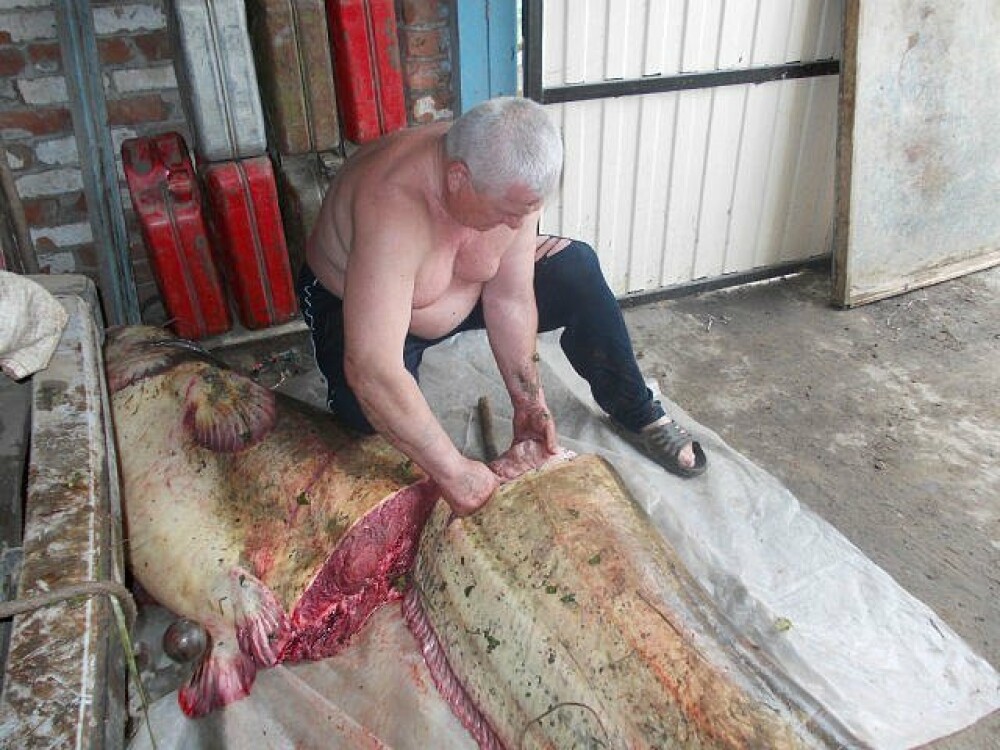 Un pescar din Rusia a incremenit cand a vazut ce s-a prins in undita. 
