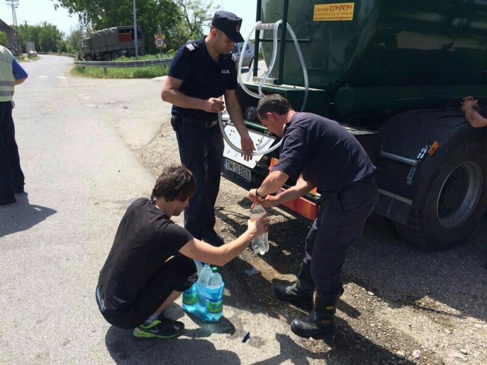Pompierii timiseni au salvat mii de animale din gospodariile afectate de inundatii, in Serbia - Imaginea 3