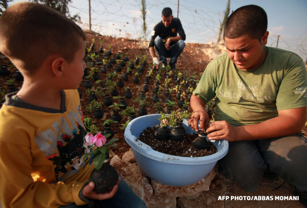 Satul unde oamenii planteaza flori in grenade. In Palestina, viata se naste din proiectile ucigase - Imaginea 3