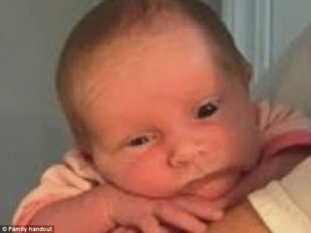 Bebelus de 3 saptamani ucis de pitbull-ul familiei. Fetita fusese lasata singura, in camera cu 3 caini - Imaginea 1