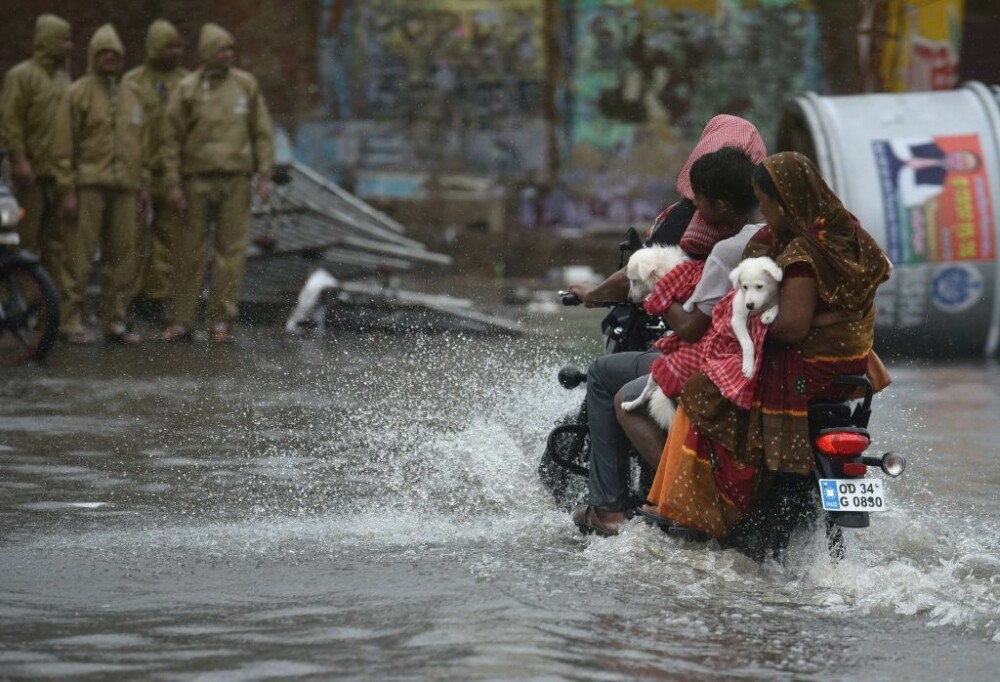 India, lovită de cel mai puternic ciclon din ultimii 20 de ani. Bilanțul e devastator. FOTO - Imaginea 1