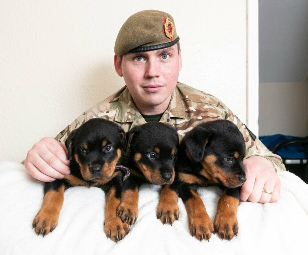 Surpriza uriaşă pe care i-a făcut-o unui militar câinele său. Omul s-a îmbogăţit - Imaginea 5