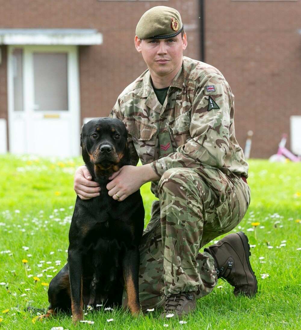 Surpriza uriaşă pe care i-a făcut-o unui militar câinele său. Omul s-a îmbogăţit - Imaginea 9