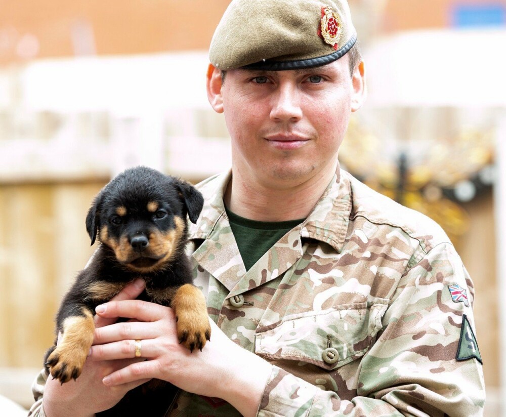 Surpriza uriaşă pe care i-a făcut-o unui militar câinele său. Omul s-a îmbogăţit - Imaginea 10