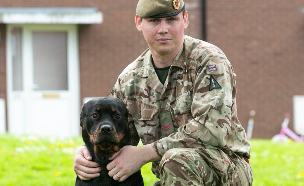 Surpriza uriaşă pe care i-a făcut-o unui militar câinele său. Omul s-a îmbogăţit - Imaginea 1