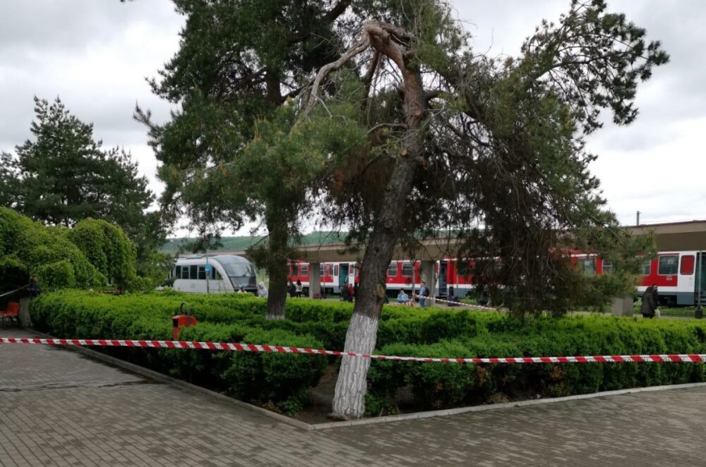 O gară importantă din România, închisă din cauza unui colet suspect. SRI va interveni - Imaginea 1