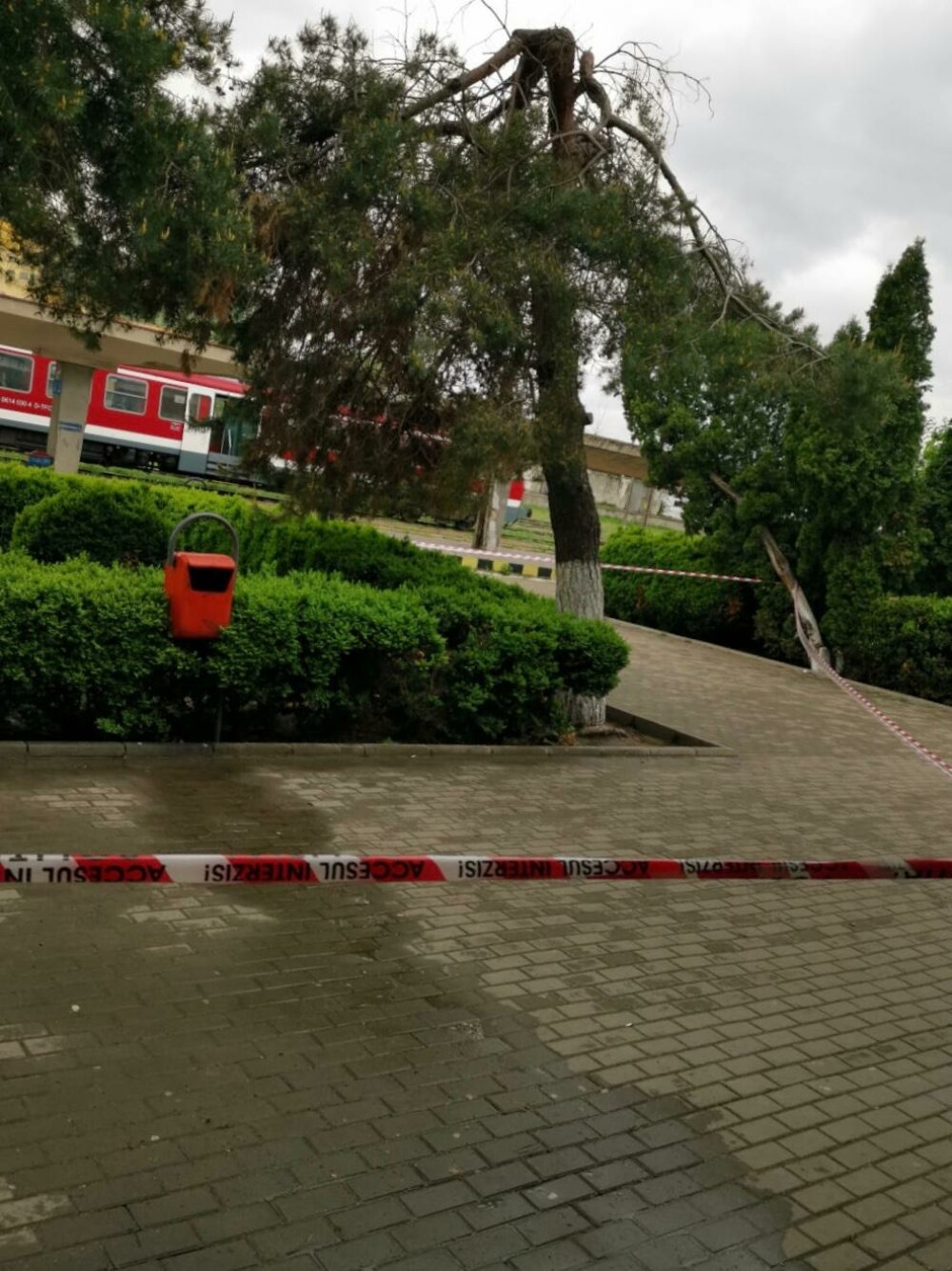 O gară importantă din România, închisă din cauza unui colet suspect. SRI va interveni - Imaginea 3