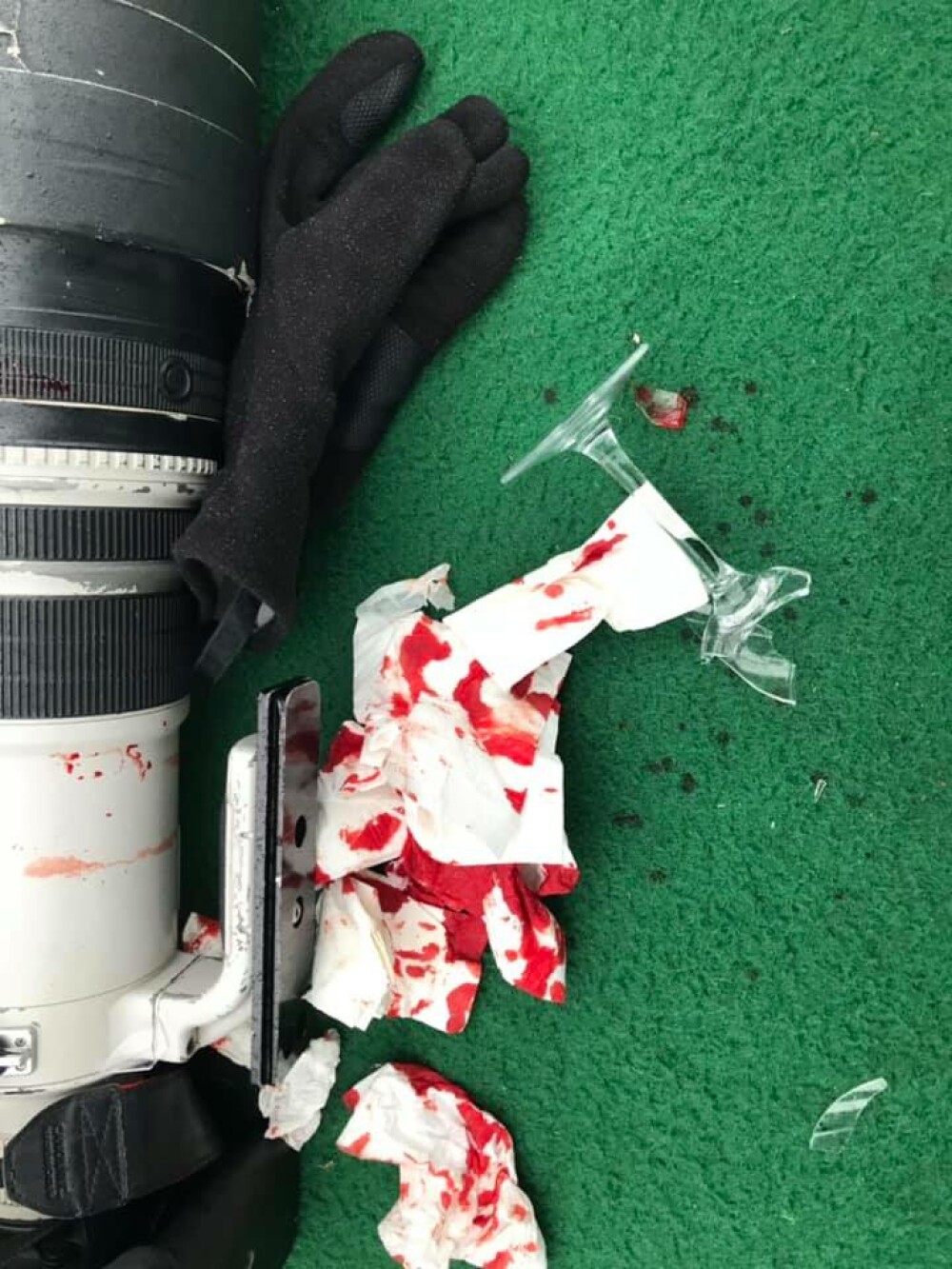 Incident în Delta Dunării. Un fotograf a fost atacat în timp ce se plimba cu un grup de străini - Imaginea 2
