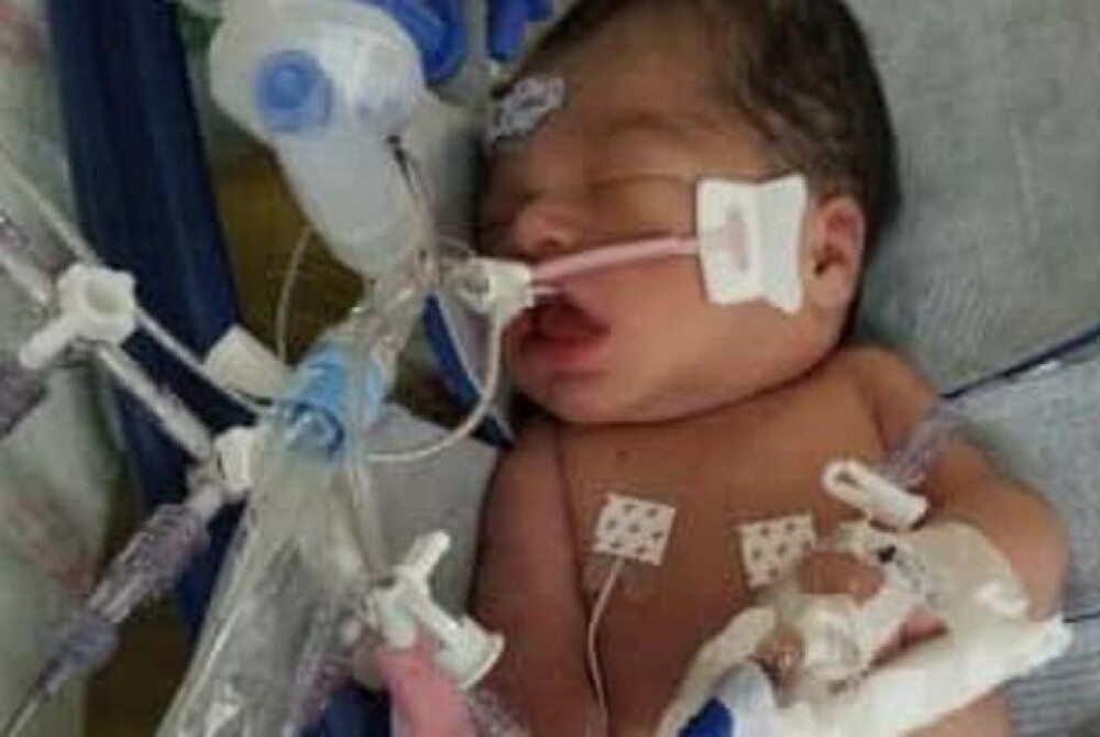 O tânără însărcinată a fost ucisă de o femeie care i-a furat bebelușul din pântec - Imaginea 2