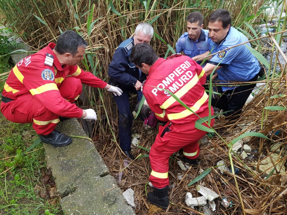 Intervenție de urgență în București, după ce o femeie a căzut în Lacul Fundeni. FOTO - Imaginea 2