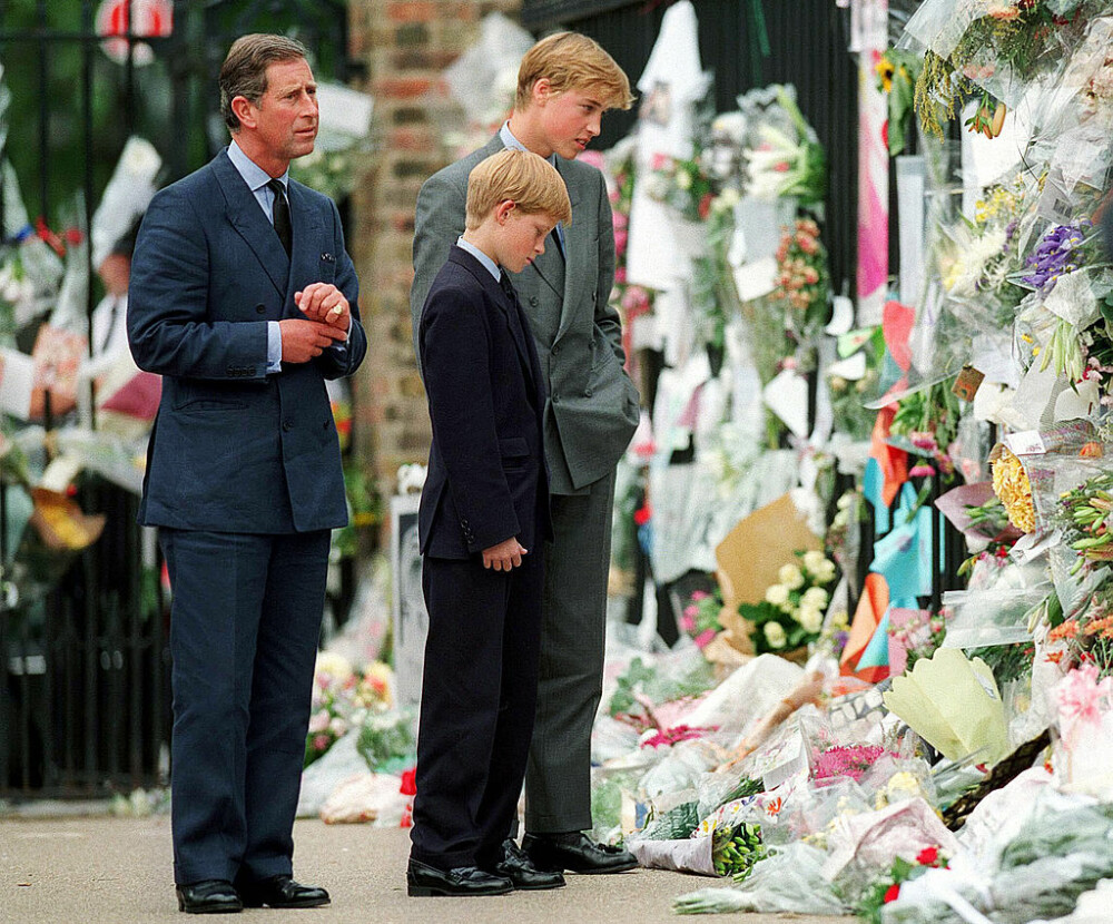 William, mărturii despre moartea prințesei Diana: „A fost o durere cum n-am mai simțit” - Imaginea 3