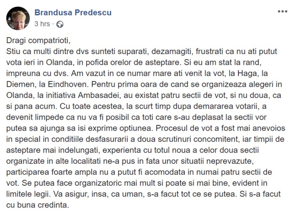 Mesajul ambasadoarei României în Olanda, după ce românii au stat la cozi uriașe să voteze - Imaginea 2