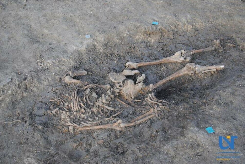 GALERIE FOTO. Mormânt colectiv din vremea ciumei, în care erau așezate mai multe schelete, descoperit la Timişoara - Imaginea 2